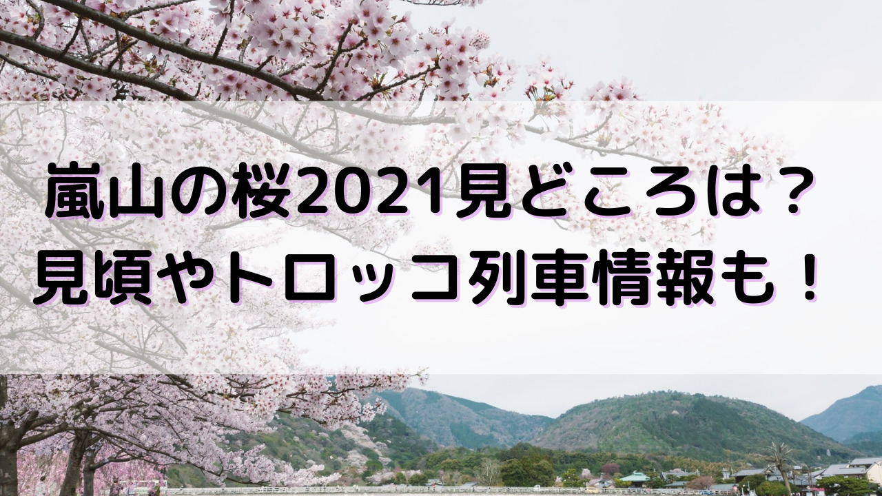 嵐山の桜21の見頃 開花情報と混雑予想 ライトアップなど見どころは Yakudatiサイクル